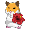 Hamster Hibiskus Blumen