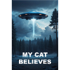 My Cat Believes in UFOs