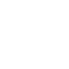 Roller Coaster