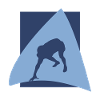 American Football Gridiron
