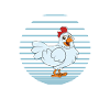 Funny Chicken Saying Chicken
