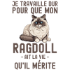 Chat de race Ragdoll 1