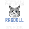 Chat mignon de race Ragdoll