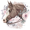 Western Rose