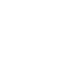 White rose geo style