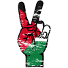 Bandiera della Palestina Pace Simbolo di Vittoria usato