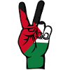 Simbolo di Vittoria della Pace della Bandiera della Palestina