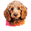 Caniche