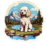 Poodle