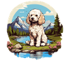 Caniche