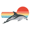 New Zealand Kaikoura Black Dolphin
