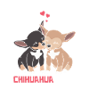 Best Chihuahua Mom