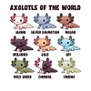 Axolotls från världen Söta djur Axolotl-arter