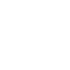 India - Tiger's Head