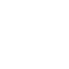Édition limitée 1999