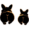 Deux corgis avec de jolis fesses