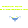 Une araignée au plafond