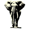 Éléphant