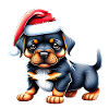 Rottweiler Christmas Puppy Dog Dogs