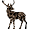 Cerf