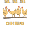 CHICKEN EGG CHICKENS
