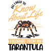Tarantula Spider Tarantula