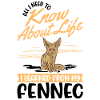 Fennec Gift Desert Fox