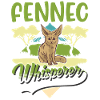 Fennek Flüsterer Fennec Wüstenfuchs