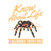 Tarantula Spider Tarantula