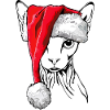 Santa Sphynx Christmas Cat Wilsigns