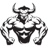 Bull Bull Muscles Bodybuilding