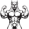 Dog Muscles Bodybuilding