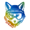 Fuchs Ski Brille Bunt