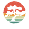 Bonsaï Bonsaï Japonais