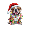 Chiot bouledogue Joyeux Noël Woofmas