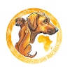 Rhodesian Ridgeback