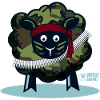 Ewe a Soldier?