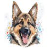 Deutscher Schäferhund