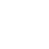 Snowflake Snow Icon