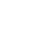 Snowflake Snow Icon
