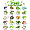 Grenouilles du monde - Grenouille