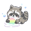 Cute Racoon