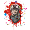 Motorcycle Kitten Biker Cat
