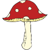 fly agaric