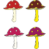 fliegenpilze bunt