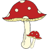 Toadstool big and small