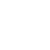 2009