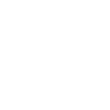 Fir cone