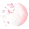 Papillons.