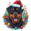 A Rottweiler Dog Celebrating Christmas